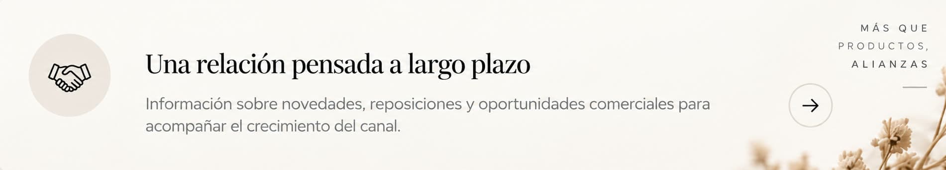 Una relación pensada a largo plazo. Información sobre novedades, reposiciones y oportunidades comerciales para acompañar el crecimiento del canal.